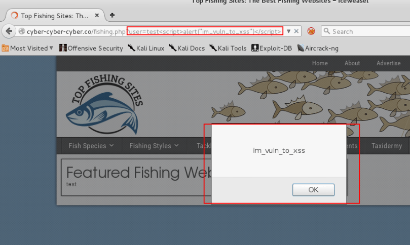 screenshot_xss_1